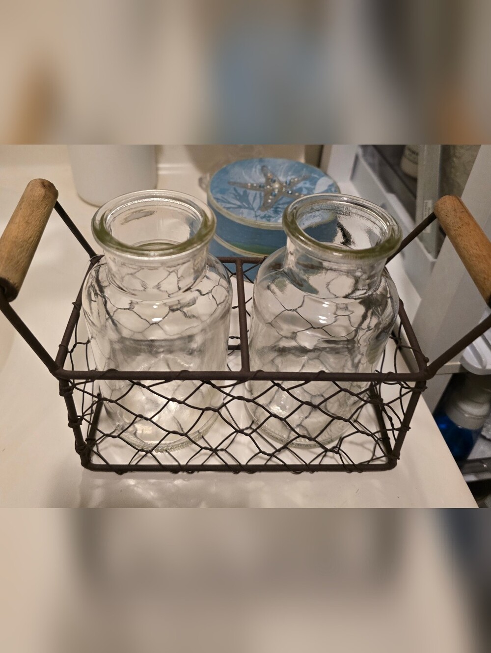 2 Pc Glass Jars Wire Vase